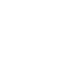 Qualia
